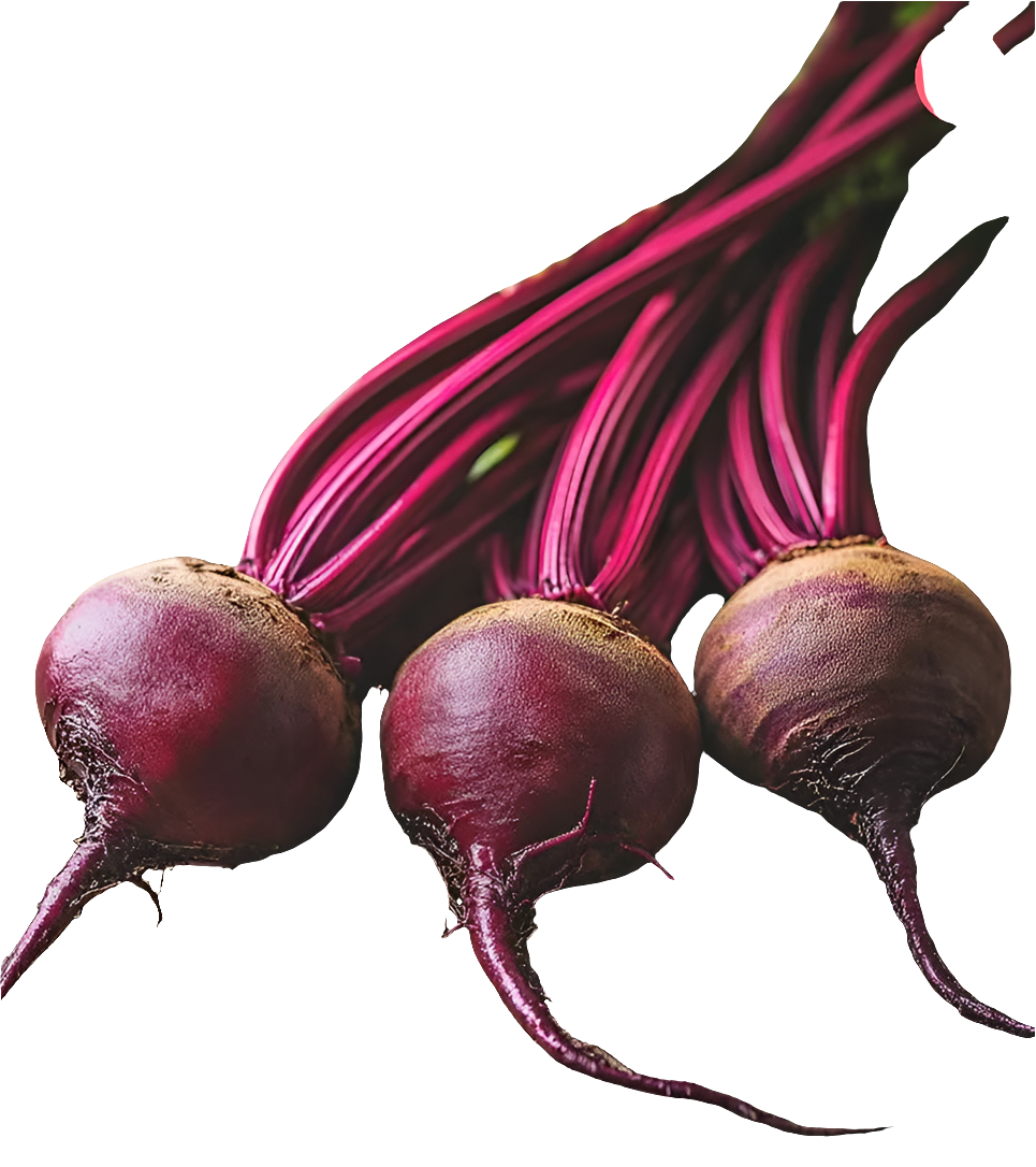 Beetroot 3pcs