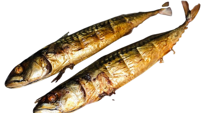 Smoked Salmon - Medium Size