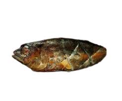 Smoked Tuna Fish (minimum salt)