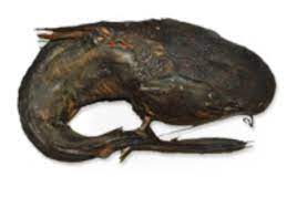 Akosombo / Smoked Cat Fish