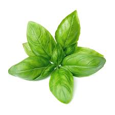Basil 100g