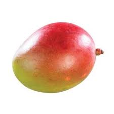 Large Mango Ripe