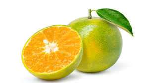 Orange 5pcs