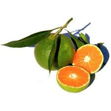 Orange 5pcs