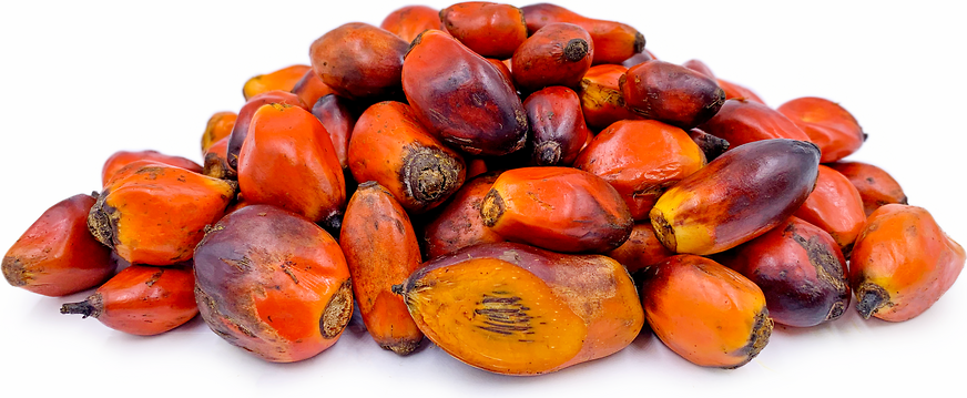 Palm Nut Fruit / Abe