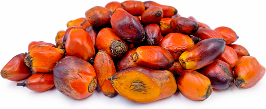 Palm Nut Fruit / Abe