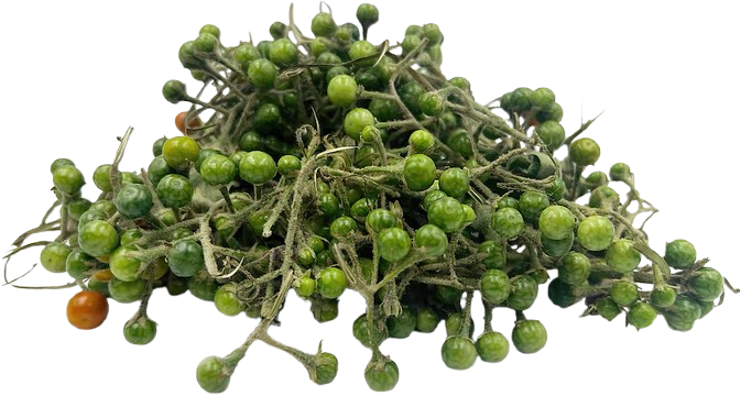 Turkey Berry / Abedru