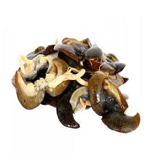 Fresh Deshelled Snails