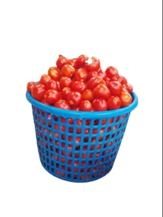 Big Basket of Tomatoes