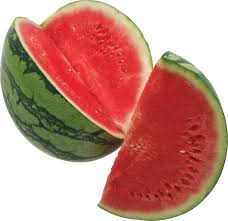 Watermelon / Water melon Medium