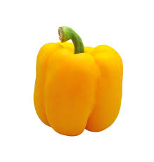 Yellow Pepper Bell